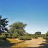 2018-06-29 19.06.32_klein